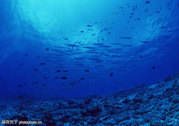 人类海底探索的资料最新的是什么