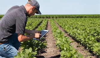 科技在农业发展中的运用