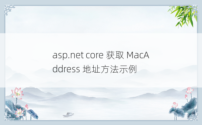 asp.net core 获取 MacAddress 地址方法示例