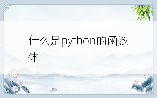 什么是python的函数体
