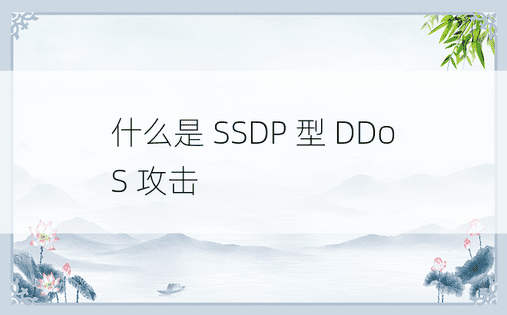 什么是 SSDP 型 DDoS 攻击