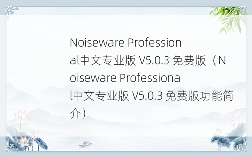 Noiseware Professional中文专业版 V5.0.3 免费版（Noiseware Professional中文专业版 V5.0.3 免费版功能简介）