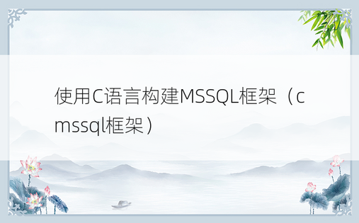 使用C语言构建MSSQL框架（cmssql框架）