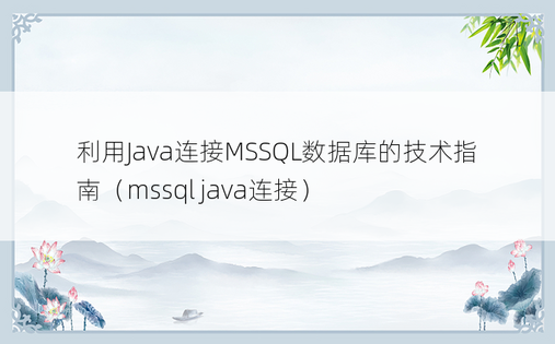 利用Java连接MSSQL数据库的技术指南（mssql java连接）