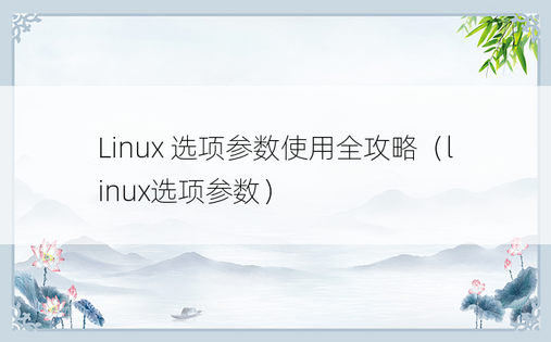 Linux 选项参数使用全攻略（linux选项参数）