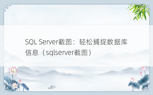 SQL Server截图：轻松捕捉数据库信息（sqlserver截图）