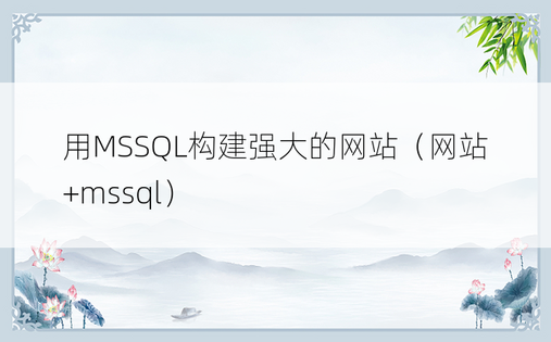 用MSSQL构建强大的网站（网站+mssql）