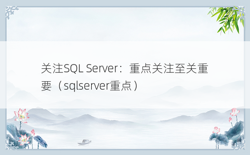 关注SQL Server：重点关注至关重要（sqlserver重点）