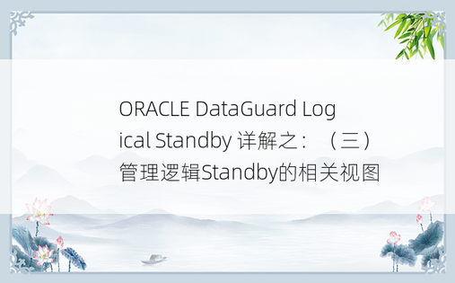ORACLE DataGuard Logical Standby 详解之：（三）管理逻辑Standby的相关视图