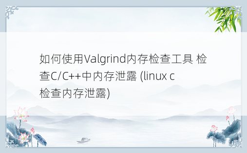 如何使用Valgrind内存检查工具 检查C/C++中内存泄露 (linux c 检查内存泄露)