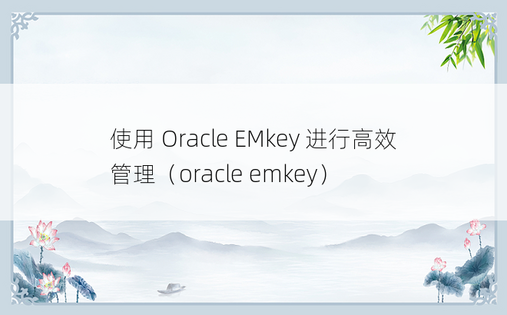 使用 Oracle EMkey 进行高效管理（oracle emkey）