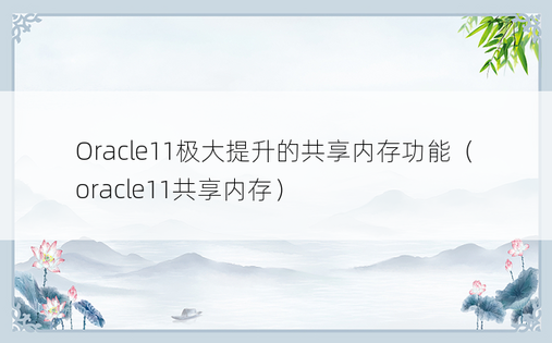 Oracle11极大提升的共享内存功能（oracle11共享内存）