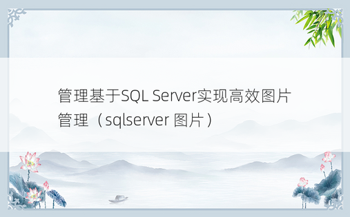 管理基于SQL Server实现高效图片管理（sqlserver 图片）