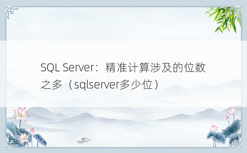 SQL Server：精准计算涉及的位数之多（sqlserver多少位）