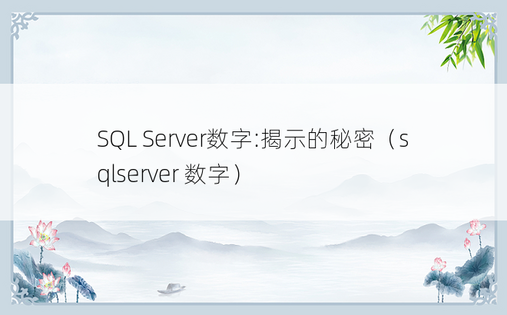 SQL Server数字:揭示的秘密（sqlserver 数字）