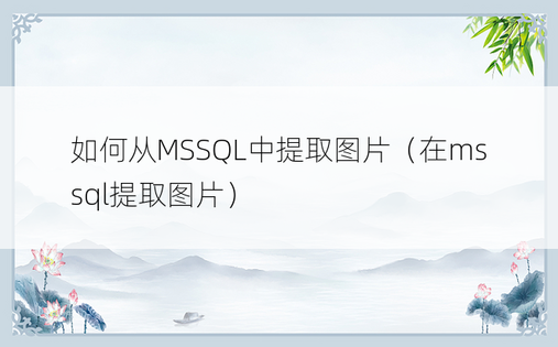 如何从MSSQL中提取图片（在mssql提取图片）