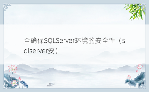 全确保SQLServer环境的安全性（sqlserver安）