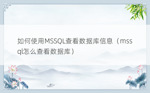 如何使用MSSQL查看数据库信息（mssql怎么查看数据库）
