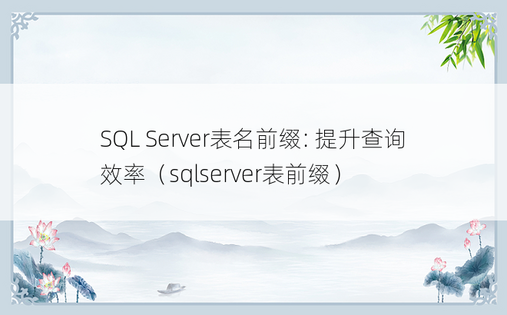SQL Server表名前缀: 提升查询效率（sqlserver表前缀）