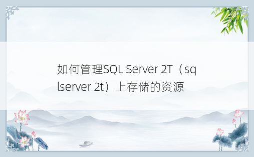 如何管理SQL Server 2T（sqlserver 2t）上存储的资源