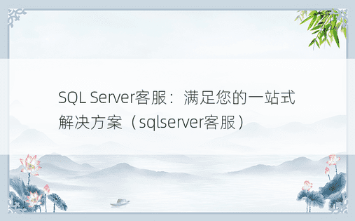 SQL Server客服：满足您的一站式解决方案（sqlserver客服）