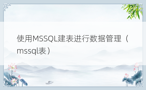 使用MSSQL建表进行数据管理（mssql表）