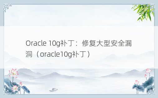 Oracle 10g补丁：修复大型安全漏洞（oracle10g补丁）