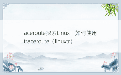 aceroute探索Linux：如何使用traceroute（linuxtr） 