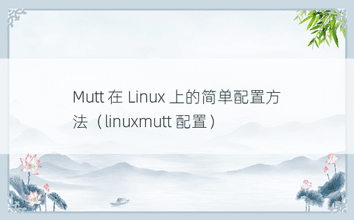 Mutt 在 Linux 上的简单配置方法（linuxmutt 配置） 