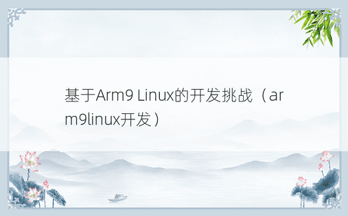 基于Arm9 Linux的开发挑战（arm9linux开发） 