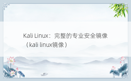 Kali Linux：完整的专业安全镜像（kali linux镜像）