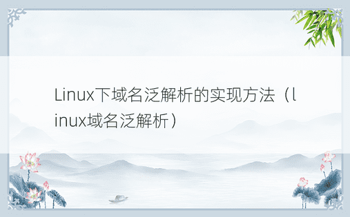 Linux下域名泛解析的实现方法（linux域名泛解析）