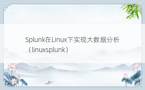 Splunk在Linux下实现大数据分析（linuxsplunk）
