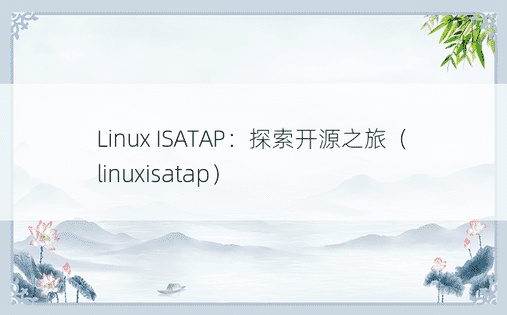 Linux ISATAP：探索开源之旅（linuxisatap）