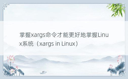 掌握xargs命令才能更好地掌握Linux系统（xargs in Linux）
