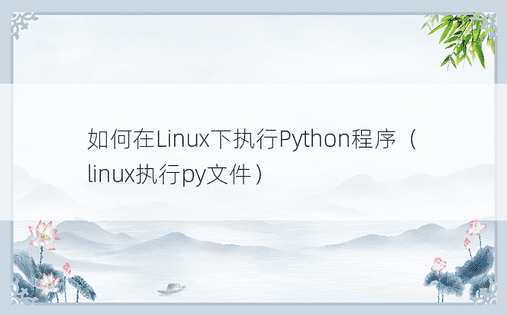 如何在Linux下执行Python程序（linux执行py文件）