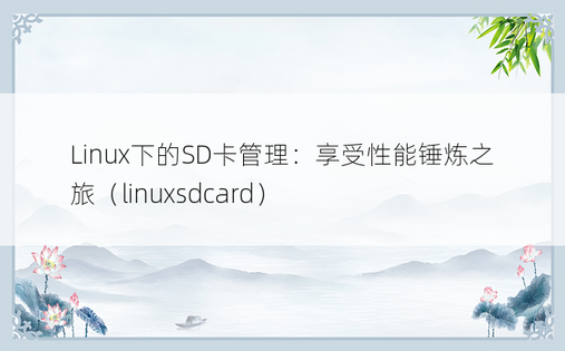 Linux下的SD卡管理：享受性能锤炼之旅（linuxsdcard）