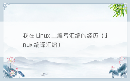 我在 Linux 上编写汇编的经历（linux 编译汇编） 