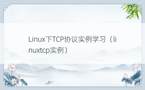 Linux下TCP协议实例学习（linuxtcp实例）