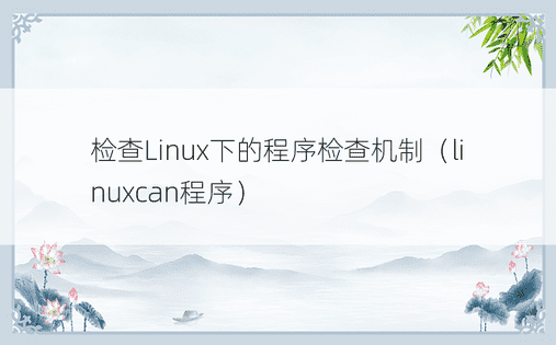 检查Linux下的程序检查机制（linuxcan程序）