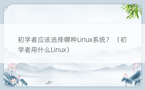 初学者应该选择哪种Linux系统？ （初学者用什么Linux） 