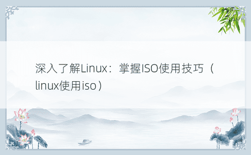深入了解Linux：掌握ISO使用技巧（linux使用iso）