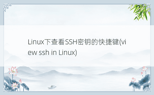 Linux下查看SSH密钥的快捷键(view ssh in Linux) 