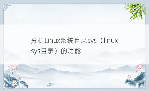 分析Linux系统目录sys（linux sys目录）的功能