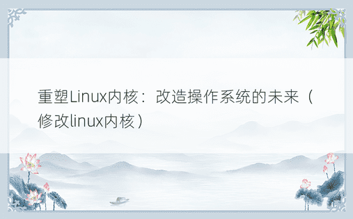 重塑Linux内核：改造操作系统的未来（修改linux内核）