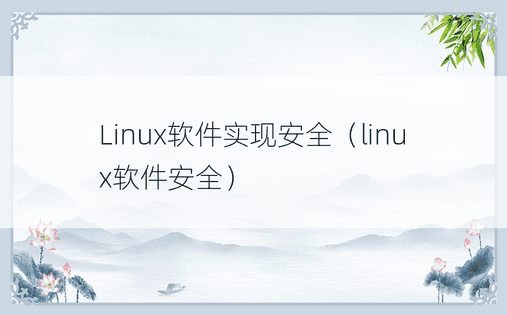 Linux软件实现安全（linux软件安全） 