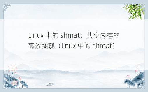 Linux 中的 shmat：共享内存的高效实现（linux 中的 shmat） 