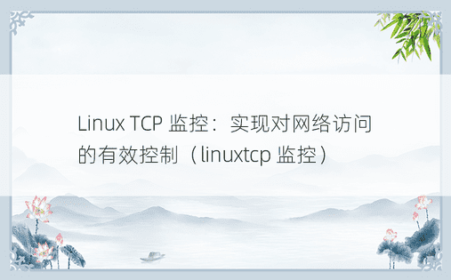 Linux TCP 监控：实现对网络访问的有效控制（linuxtcp 监控）
