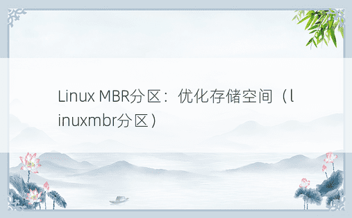 Linux MBR分区：优化存储空间（linuxmbr分区） 