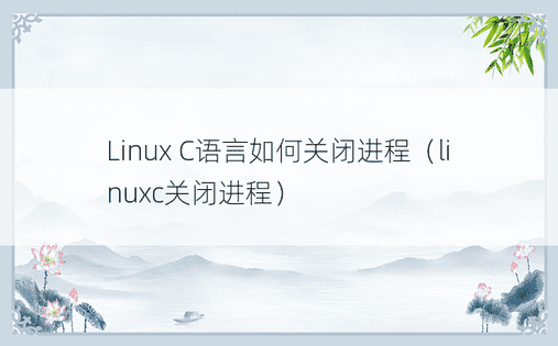 Linux C语言如何关闭进程（linuxc关闭进程）